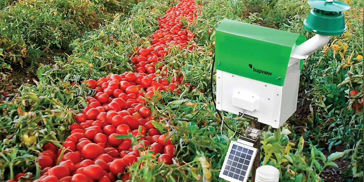 Trapview, le trappole digitali arrivano sul mercato italiano